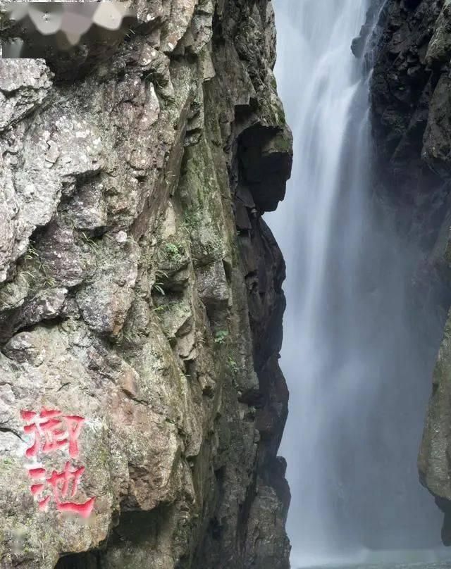 附睾炎的克星是啥？这5种食物要多吃